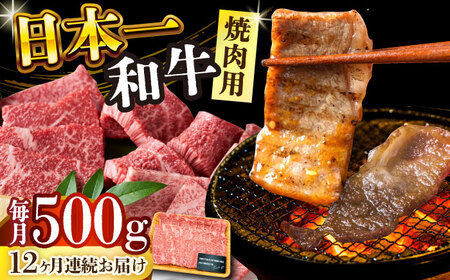 【全12回定期便】【A4～A5】長崎和牛焼肉用　500g【株式会社 MEAT PLUS】焼肉  [DBS036]