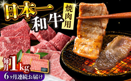 【全6回定期便】【A4～A5】長崎和牛焼肉用　1kg（500g×2p）【株式会社 MEAT PLUS】焼肉  [DBS039]