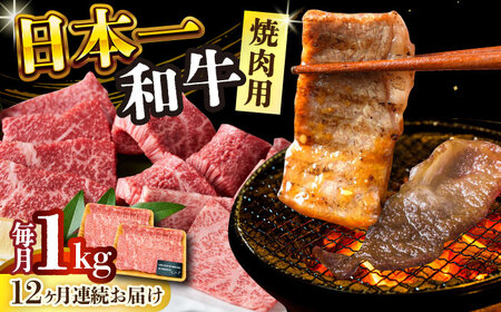 【全12回定期便】【A4～A5】長崎和牛焼肉用　1kg（500g×2p）【株式会社 MEAT PLUS】 焼肉 [DBS040]