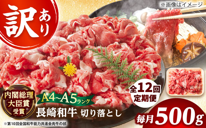 【全12回定期便】【訳あり】【A4～A5】長崎和牛焼肉切り落とし(肩ロース・バラ）　500g【株式会社 MEAT PLUS】  [DBS044]