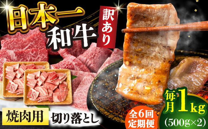 【全6回定期便】【訳あり】【A4～A5】長崎和牛焼肉切り落とし(肩ロース・バラ）　1kg（500g×2p）【株式会社 MEAT PLUS】  [DBS047]