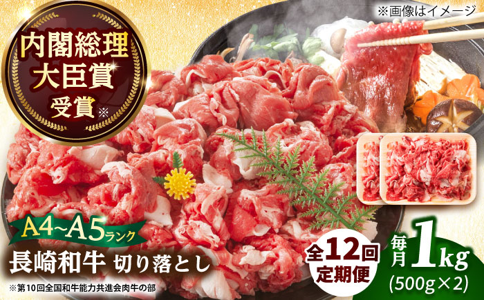 【全12回定期便】【A4～A5】長崎和牛切り落とし　1kg(500g×2p）【株式会社 MEAT PLUS】 切り落とし   [DBS056]