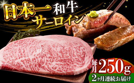 【全2回定期便】【A4～A5】長崎和牛サーロインステーキ　250g（250g×1枚）【株式会社 MEAT PLUS】  [DBS081]
