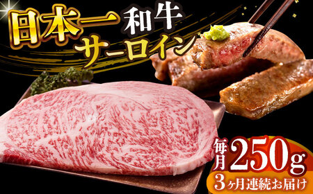 【全3回定期便】【A4～A5】長崎和牛サーロインステーキ　250g（250g×1枚）【株式会社 MEAT PLUS】  [DBS082]