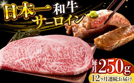 【全12回定期便】【A4～A5】長崎和牛サーロインステーキ　250g（250g×1枚）【株式会社 MEAT PLUS】  [DBS084]