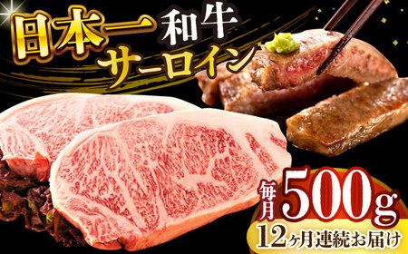 【全12回定期便】【A4～A5】長崎和牛サーロインステーキセット　500g（250g×2枚）【株式会社 MEAT PLUS】  [DBS088]