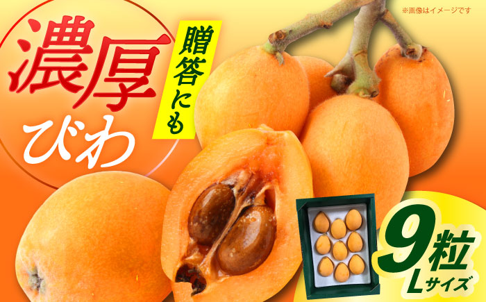 【先行予約】【化粧箱入り】 びわ Lサイズ ビワ 長崎県 小値賀町 大島 【2026年6月発送】【神川農園】  [DBT004]