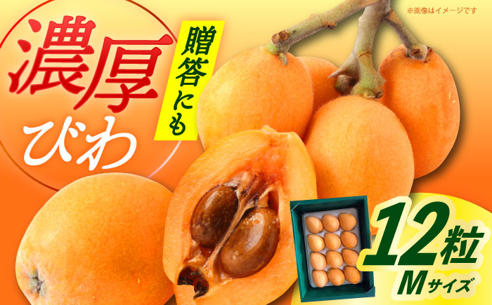 【先行予約】【化粧箱入り】 びわ Mサイズ ビワ 長崎県 小値賀町 大島 【2026年6月発送】【神川農園】  [DBT005]