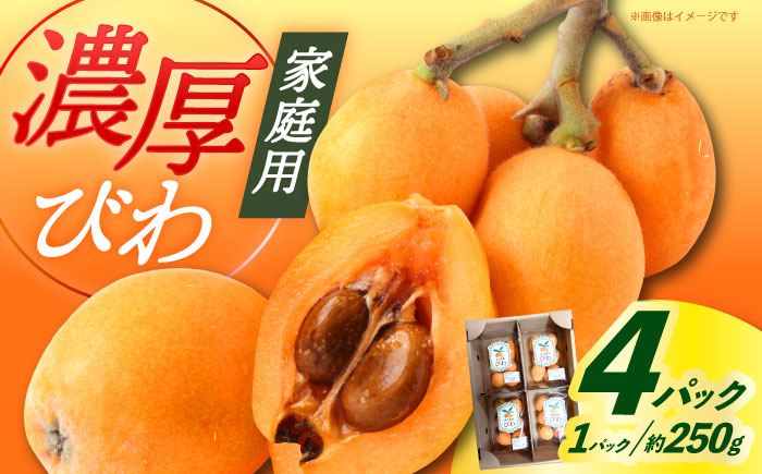 【先行予約】びわ 4パック 長崎県 ビワ 小値賀町 大島 【2026年6月発送】【神川農園】  [DBT006]