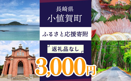 【返礼品なし】長崎県小値賀町 ふるさと応援寄附金（3,000円分）   [DYZ002]