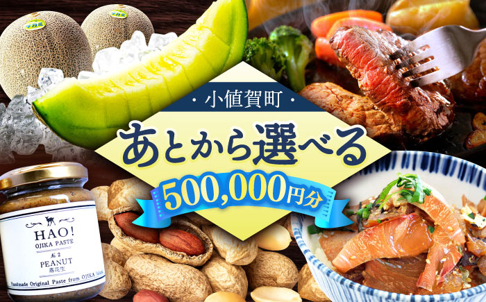 【あとから選べる】小値賀町ふるさとギフト 50万円分　長崎県 小値賀町  [DYZ014]