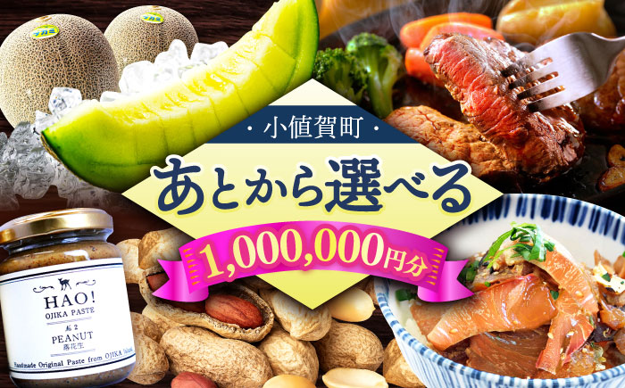 【あとから選べる】小値賀町ふるさとギフト 100万円分　長崎県 小値賀町  [DYZ015]