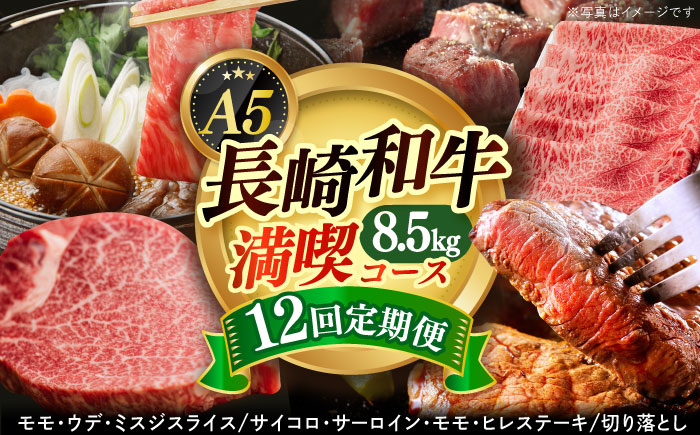 [全12回定期便][希少部位]ヒレ入り! 長崎和牛 お肉大好き 定期便 [小値賀町][有限会社肉の相川][DAR039] ヒレ肉 ロース 和牛 ミスジ サーロイン ステーキ 国産 切り落とし サイコロステーキ あいかわ [DAR039] 12回定期便 定期便12回 A5 お楽しみ ステーキ 冷凍 冷凍定期便