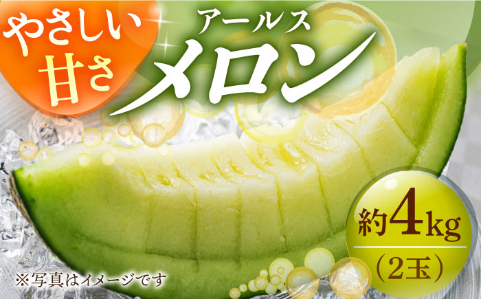 【2026年 先行予約】 アールスメロン 約4kg（2玉）メロン 8月発送予定 [DAT002]