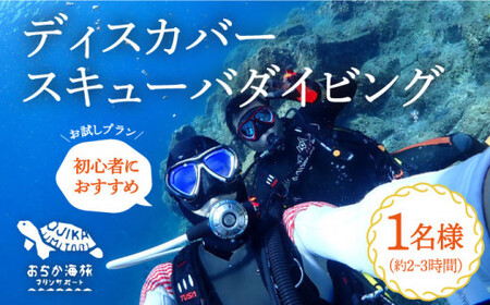 【体験ダイビング】Discover Scuba Diving コース 1名様   [DBB001]