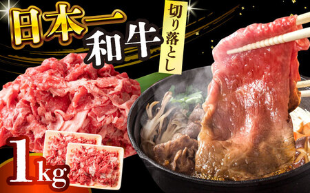 [A4〜A5]長崎和牛切り落とし 1kg(500g×2p)[株式会社 MEAT PLUS] [DBS006] 切り落とし 切り落とし 1kg