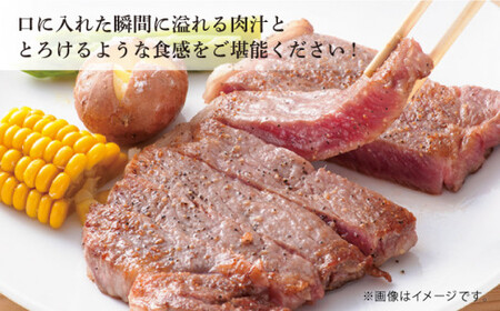 【最高級A5のみを厳選】 長崎和牛 サーロイン ステーキ 約240g（120g×2枚）【肉のあいかわ】 [QAA004] [QAA004]