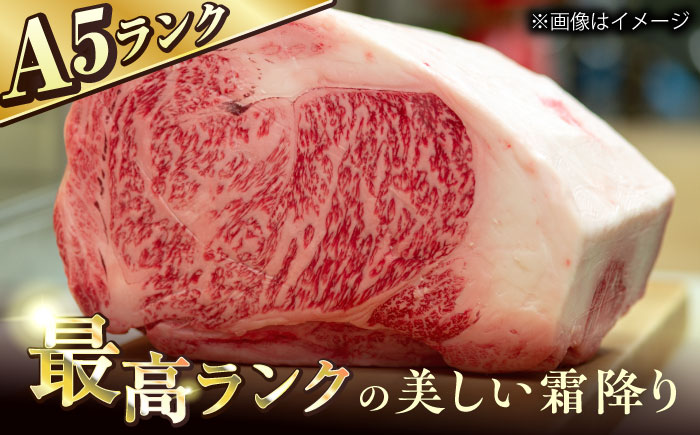 長崎和牛A5ランクサーロインステーキ4枚 約120g×4枚 [QAA034]