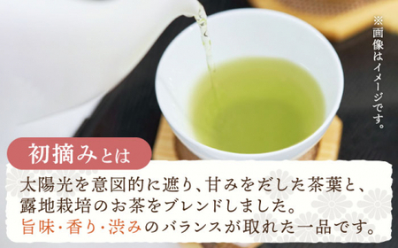 【全12回定期便】「こだわりブレンド茶」さざの 有機栽培茶 初摘み （100g×3本/回）【宝緑園】 [QAH015] [QAH015]