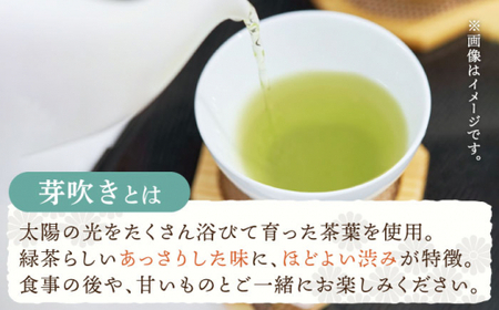 【全3回定期便】「あっさりとした有機栽培茶」さざの 有機栽培茶 芽吹き （100g×3本/回）【宝緑園】 [QAH025] [QAH025]