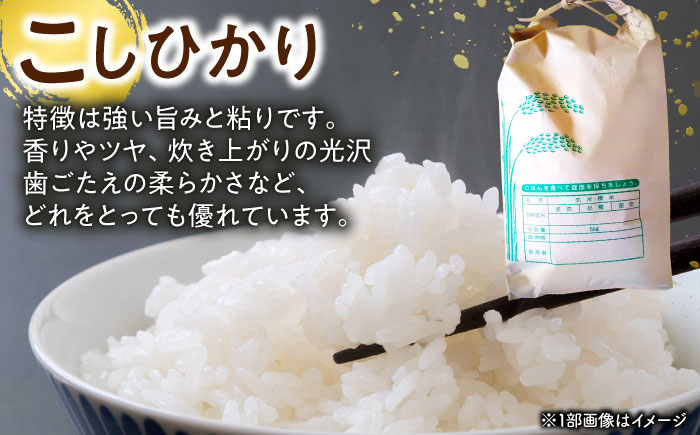 長崎県産こしひかり5kg【酒のタナカ】 [QAM018] 米 コシヒカリ 長崎県産 お米 5キロ 5kg