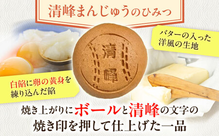 【当店自慢】こだわりの清峰まんじゅう 10個入り【栗まんじゅう本舗　小田製菓】 [QAR016] [QAR016]