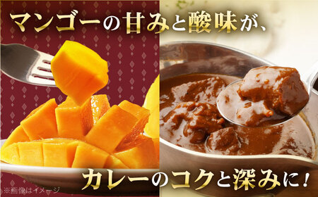 【極上完熟マンゴー使用】完熟プレミアム プリンセス マンゴー カレー 200g×5袋 【堀内フルーツファーム】 [QAT010] [QAT010]