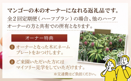 【数量限定・全2回定期便】【先行予約】プリンセス マンゴー オーナー制度 （ハーフプラン） 計12個 完熟マンゴー 高品質マンゴー まんごー【堀内フルーツファーム】 [QAT011] [QAT011]