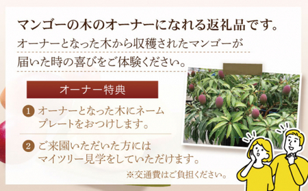 【数量限定・全4回定期便】【先行予約】プリンセス マンゴー オーナー制度 （マイオーナープラン） 計24個 完熟マンゴー 高品質マンゴー まんごー 20万円 200000円【堀内フルーツファーム】 [QAT012] [QAT012]