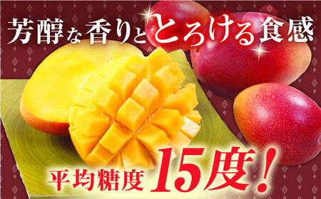 【先行予約】【冷凍】プリンセスマンゴー 約1kg [QAT013] [QAT013]