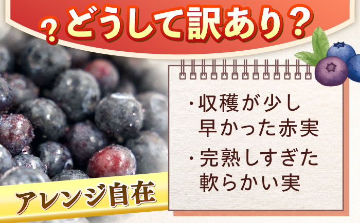 佐々町産訳あり冷凍ブルーベリー1kg [QAT019]