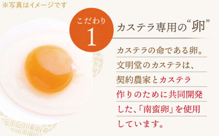 【全3回定期便】「こだわりの逸品」長崎カステラ［2号] 計6本（1号10切入×2本入/回）【文明堂総本店】 [QAU023] [QAU023]