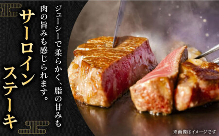 【極厚！】長崎和牛 サーロイン ステーキ 計1kg （約250g×4枚）【黒牛】 [QBD012] [QBD012]