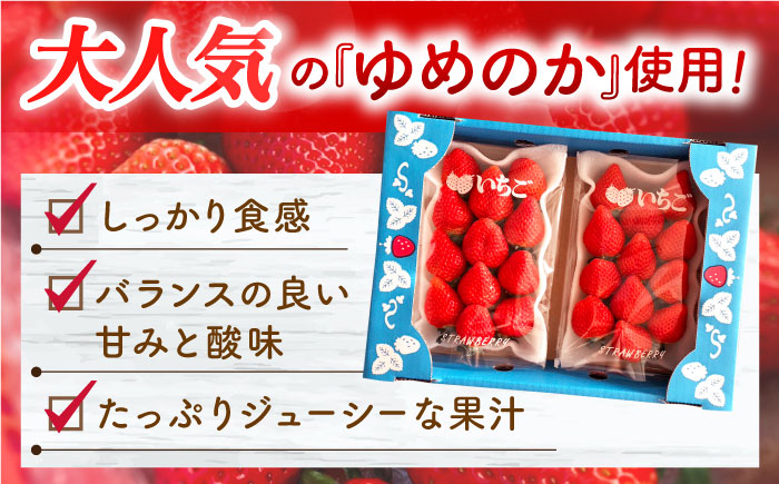 手作りいちごジャム 計360ｇ(120g×3個)【市丸農園 いちご研究室】 [QBF005] [QBF005]