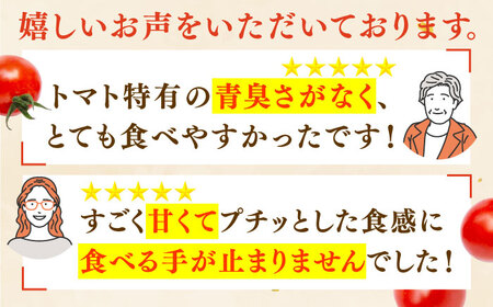 【先行予約】ミニトマト 小鈴キング 1kg【C&T farm】 [QBG003] [QBG003] トマト ミニ トマト 小鈴キング トマト 人気 リピート