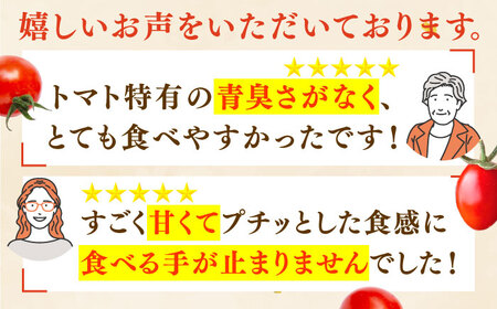 【先行予約】ミニ トマト アイコ＆小鈴キング 総計4.5kg [QBG004] トマト ミニ とまと 野菜 トマト