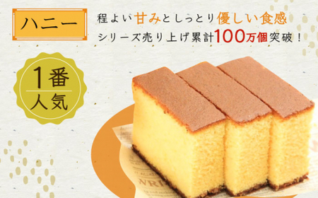 長崎 カステラ ざんまい 5枚カット×2箱 （ハニー×2） [QBL005]