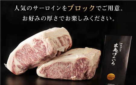 長崎和牛 出島ばらいろ サーロイン まるごと1本【合同会社肉のマルシン】 [QBN011] [QBN011]