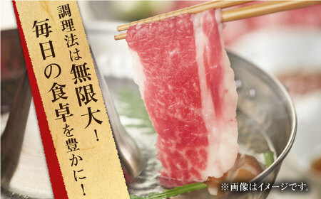 長崎和牛 切り落とし 約400g （カタ、モモ、バラ、ロース、スネのいずれか）【合同会社肉のマルシン】 [QBN016] [QBN016]