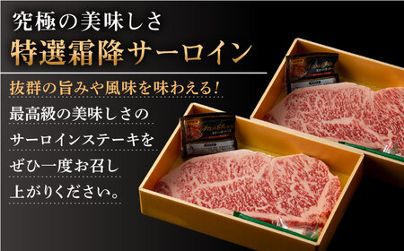 【全6回定期便】長崎和牛 出島ばらいろ  サーロイン ステーキ500g（250g×2枚） [QBN020] [QBN020]