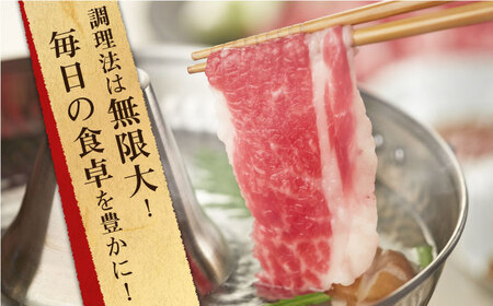 【全12回定期便】長崎和牛 出島ばらいろ 切り落とし（モモ、バラ、カタのいずれか）400g×2入 【合同会社肉のマルシン】 [QBN027] [QBN027]