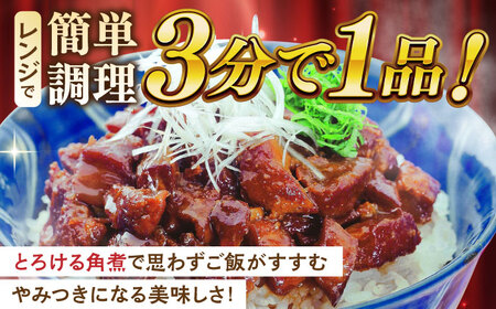 【全12回定期便】長崎角煮まぶし10袋【株式会社岩崎食品】 [QBR036] [QBR036]