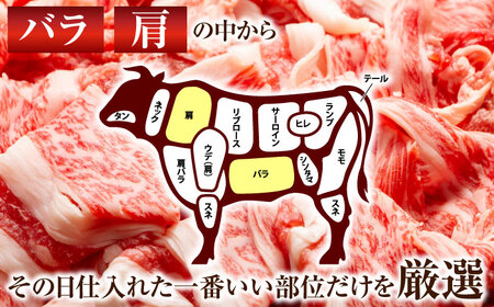 【全6回定期便】【A4～A5】長崎和牛切り落とし　500g【株式会社 MEAT PLUS】 [QBS046] [QBS046]