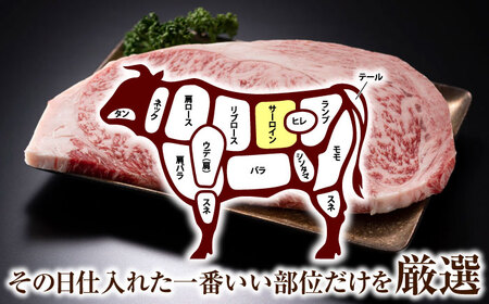 【全12回定期便】【A4～A5】長崎和牛サーロインステーキ　250g（250g×1枚）【株式会社 MEAT PLUS】 [QBS071] [QBS071]