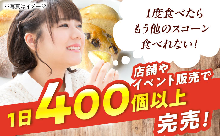 【全3回定期便】【卵不使用！】生スコーン おまかせ10個セット [QBZ003]