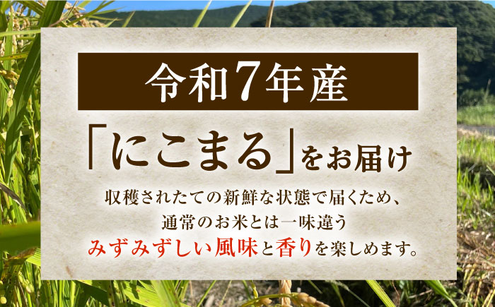 【R7年度産・白米】長崎県佐々町産「にこまる」5kg [QCD001]