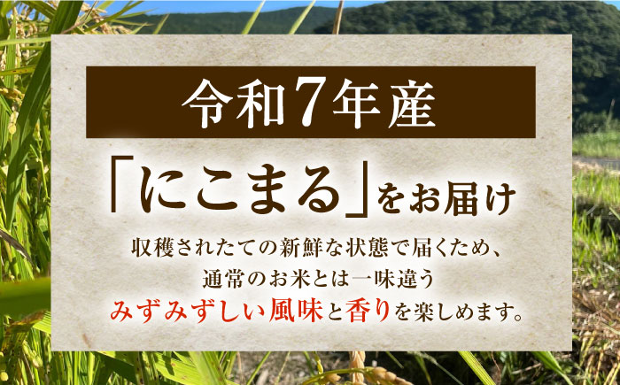 【R7年度産・白米】長崎県佐々町産「にこまる」10kg(5kg×2袋) [QCD002]