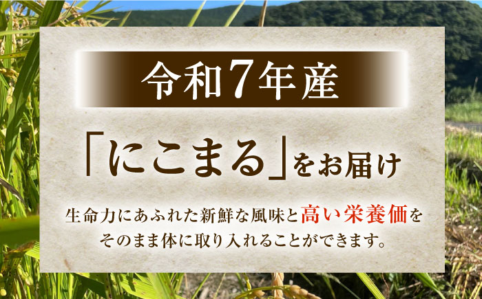 【R7年度産・玄米】長崎県佐々町産「にこまる」15kg(5kg×3袋) [QCD003]