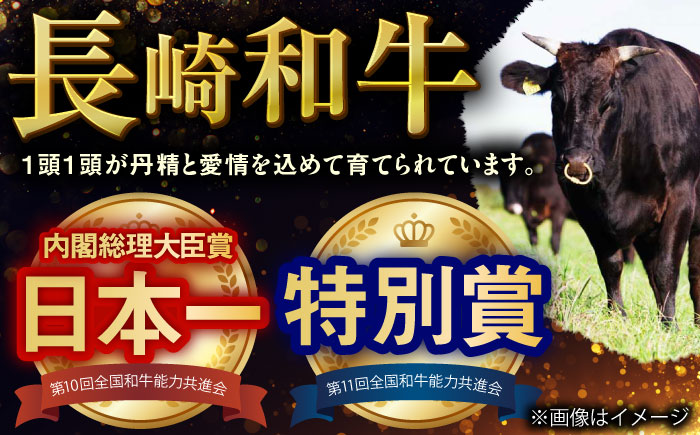 崎和牛A5ランクサーロインステーキ6枚 約120g×6枚 [QAA035]