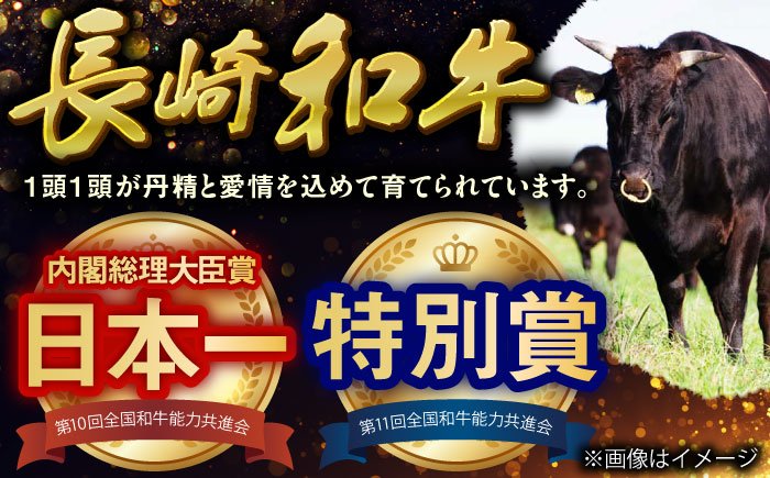 長崎和牛特選ハンバーグ150g×5 [QAA036]